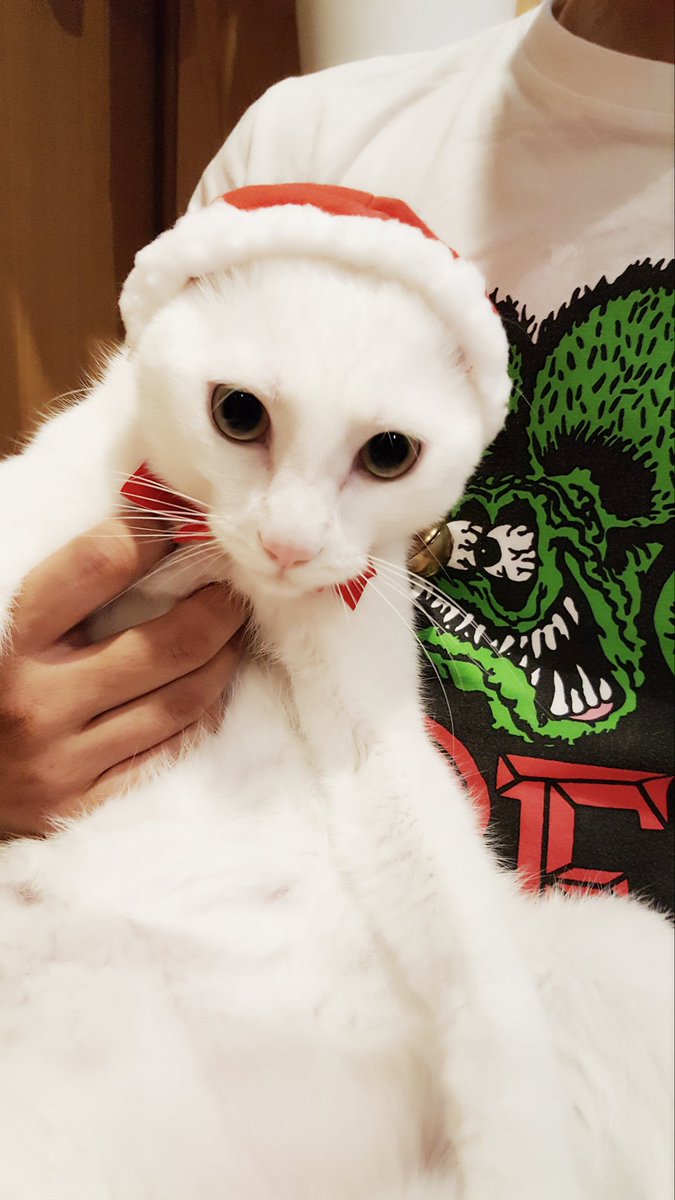 ねこずきんちゃん