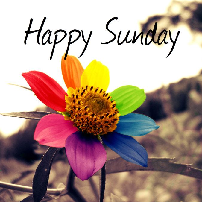 happy sunday quotes indonesia