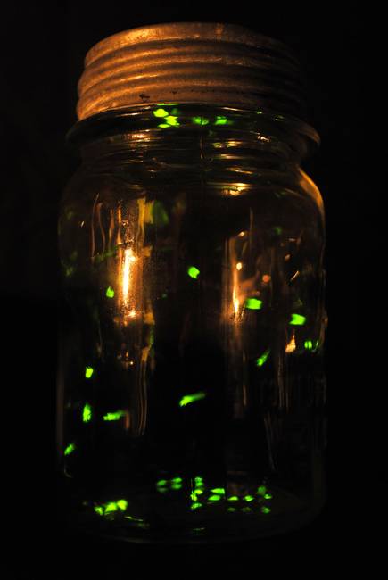 ScriptPoetry's tweet image. Time to recluse like a hermit from twitter madness &amp;amp; enjoy the mind trip of Art.🤓☺️ youtu.be/psuRGfAaju4