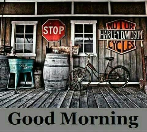 fernride4life's tweet image. GM @jacki_carey @DebPalmer6 @EveIrving69 @SujoreJ @weisermotochick @UniqueBitch2016 @Smokey969 @tycode @frances_van @hoot4 @biQerchick