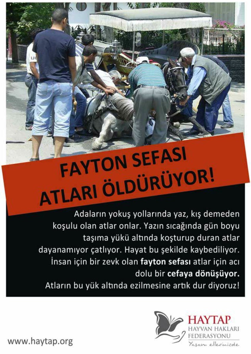byknthyvnsvrler's tweet photo. Fayton sefası atları öldürüyor ! #adalar #faytonahayır https://t.co/AdCstjPPim