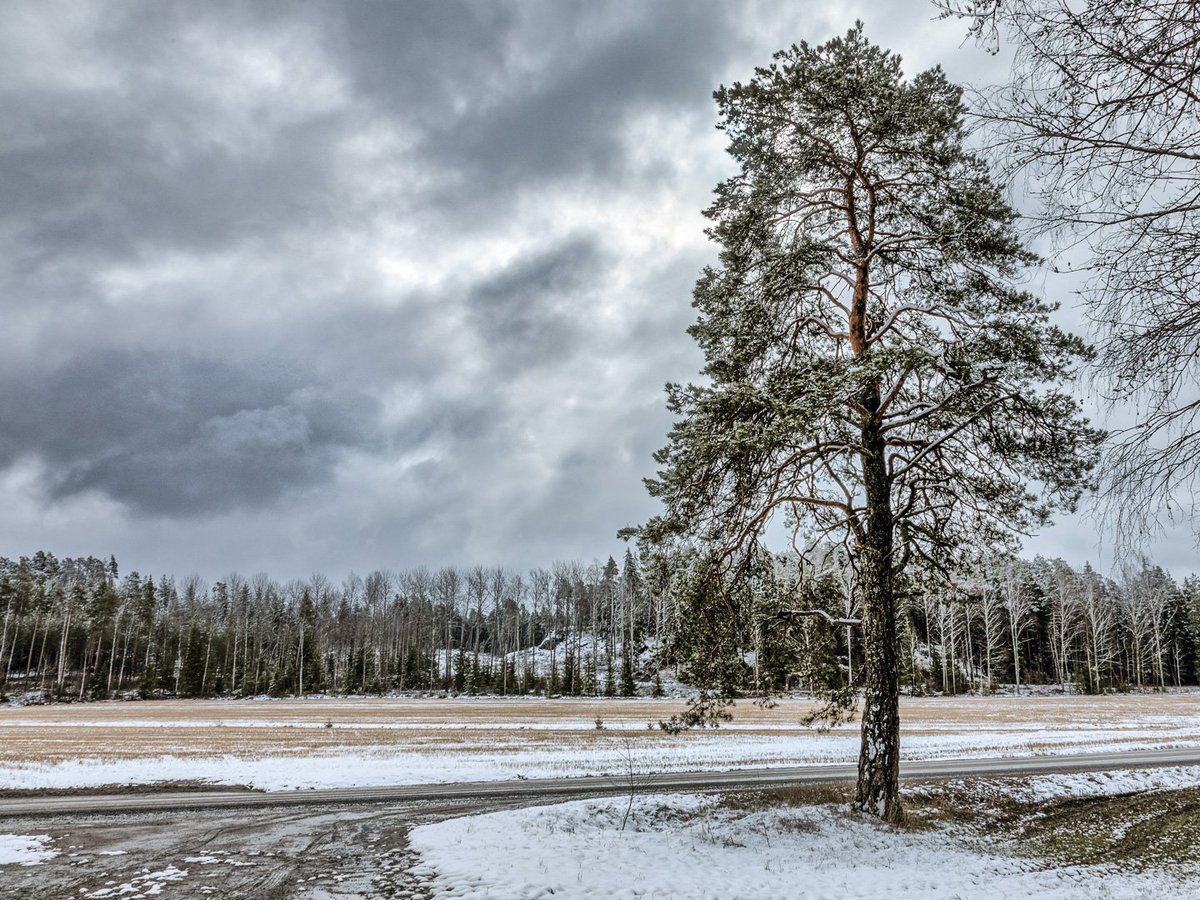 timoksanen tweet picture