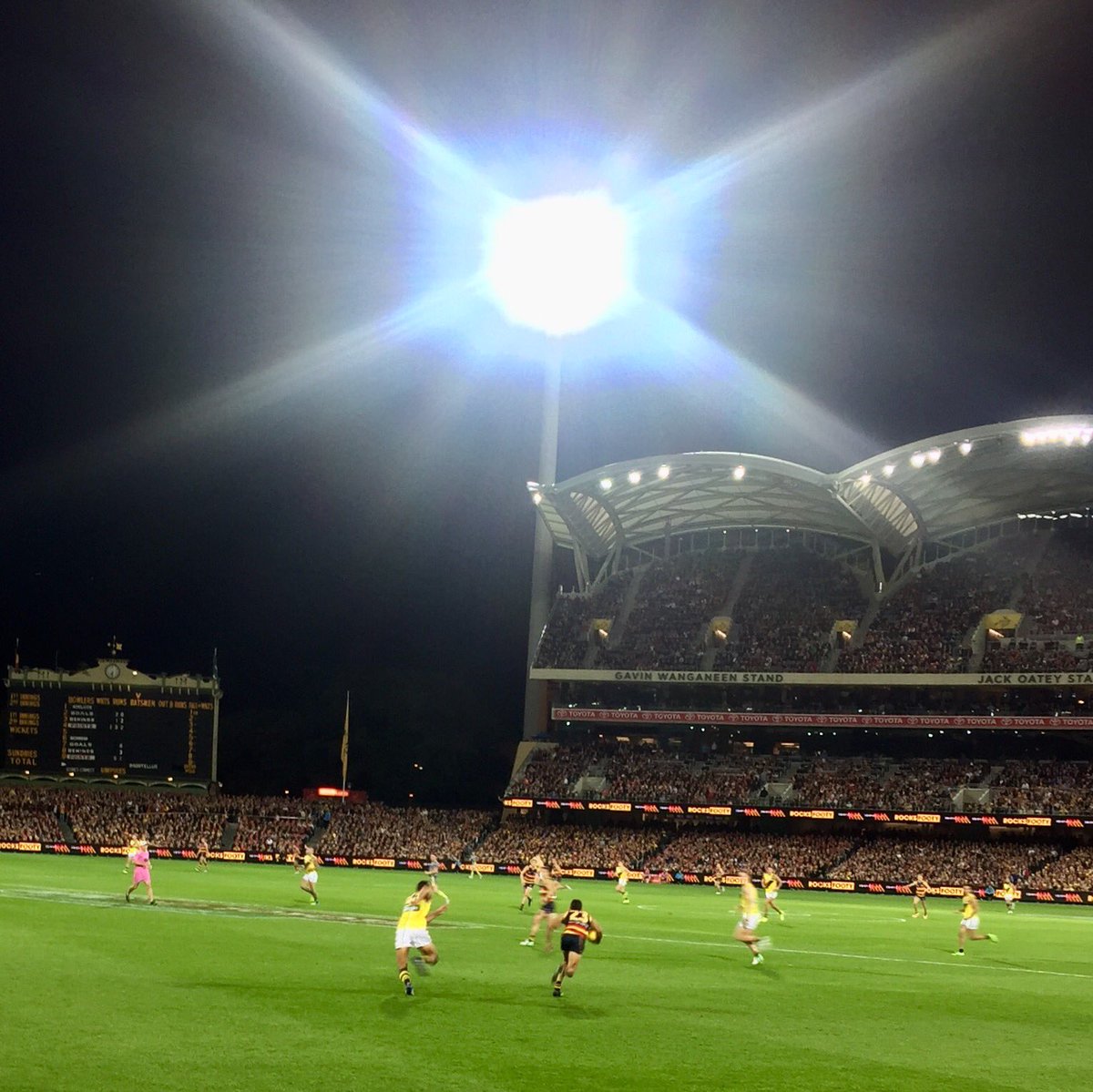 timmy volume tweet media