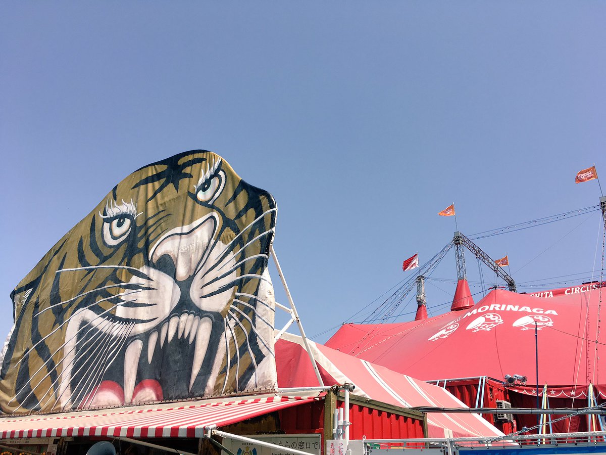 binaryoption_k's tweet image. サーカスみてきたーん😋🌺
外人さんがかっこかわいすぎて(´Д`三´Д`*)hshs

動物たちは年取ったせいかむっちゃ心痛くて…（笑）