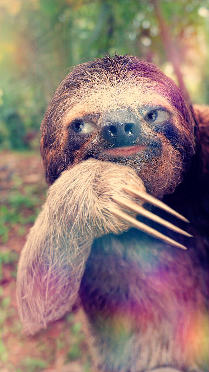 HolySpaceSloth's tweet image. I am now a sloth!!!