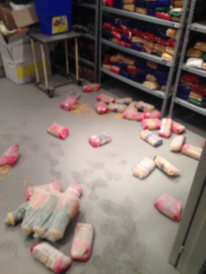 Terrorismo Antifascista Terrorismo Antifascista