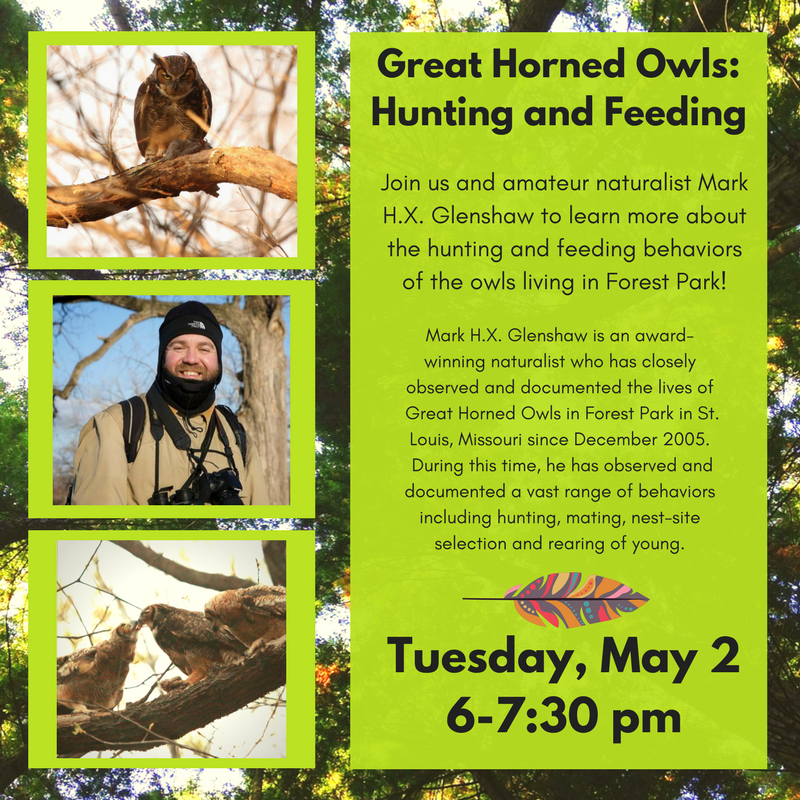 forestparkowls's tweet photo. Come learn about the #owls of Forest Park on Tues https://t.co/CjAdy8F4PG  @fergusonlibrary @ForestPark4Ever @explorestlouis @ACRiverlands https://t.co/115MLrSMPG
