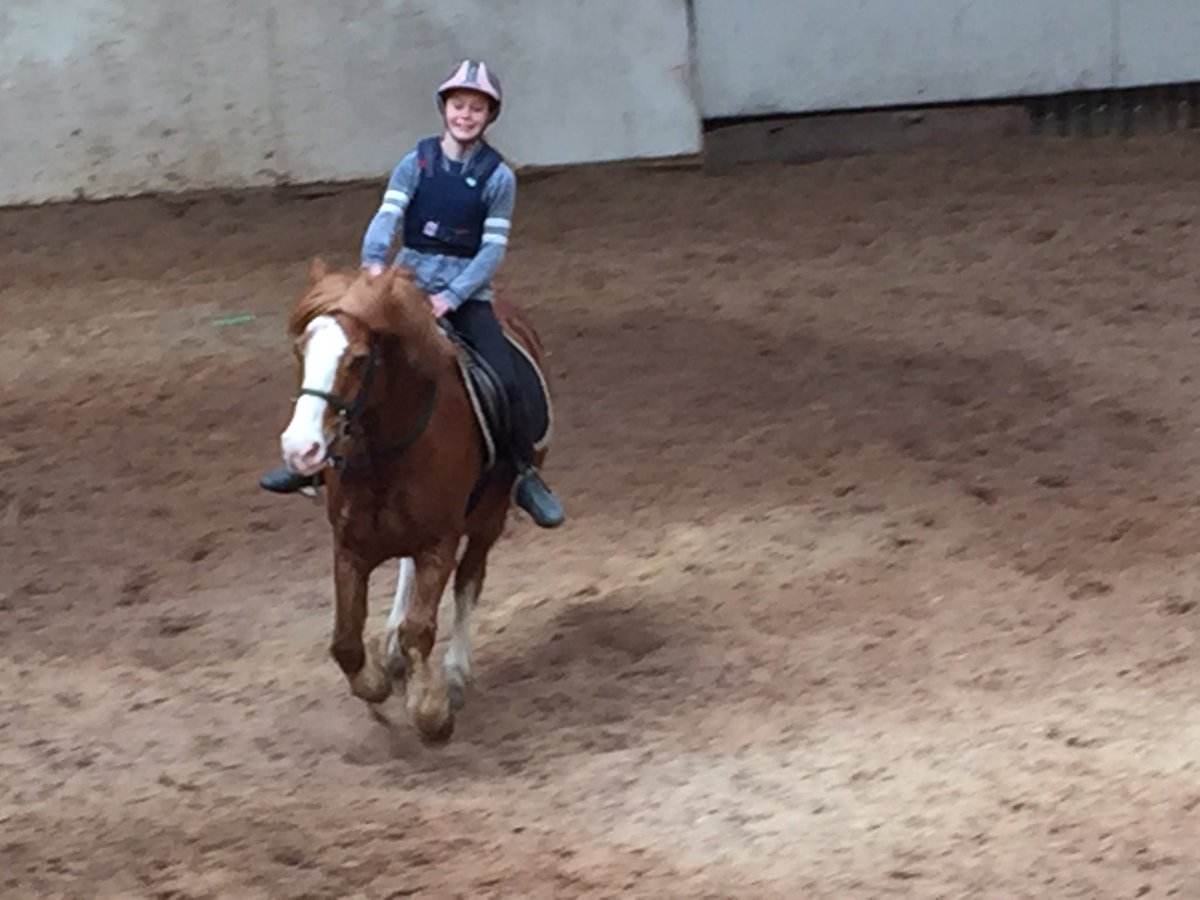 PembrokeshireC's tweet photo. A great #riding lesson at #Hundleton riding school on a fab #pony @FBeachCottage @horseandhound @PembsOutdoor @PDockTown @PembsDaysOut π π https://t.co/jd3tszjNAa