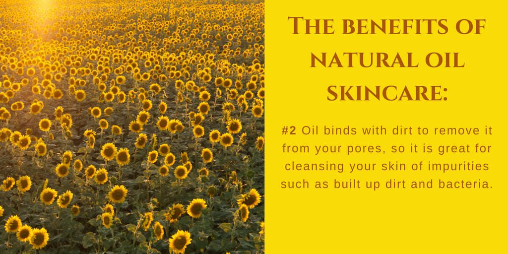 CP_Natural_Skin's tweet image. The Benefits of Natural Oil Skincare #vegan #naturalbeauty #oil #argan #noparabens #nochemicals #sunflowers #oliveoil #oliveyou #repswanted