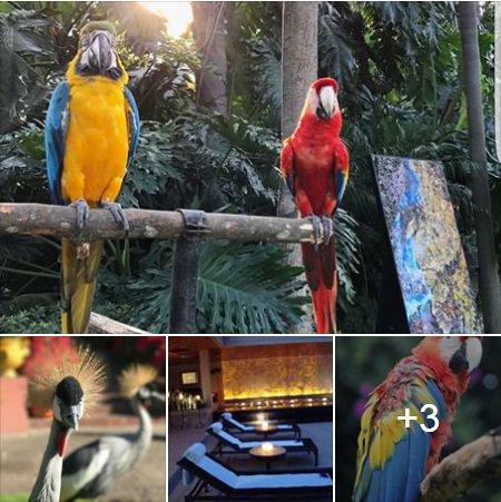 Las Mañanitas en Cuernavaca!
<a href="/las_mananitas/">Las Mañanitas</a> 

bit.ly/2oXXHit