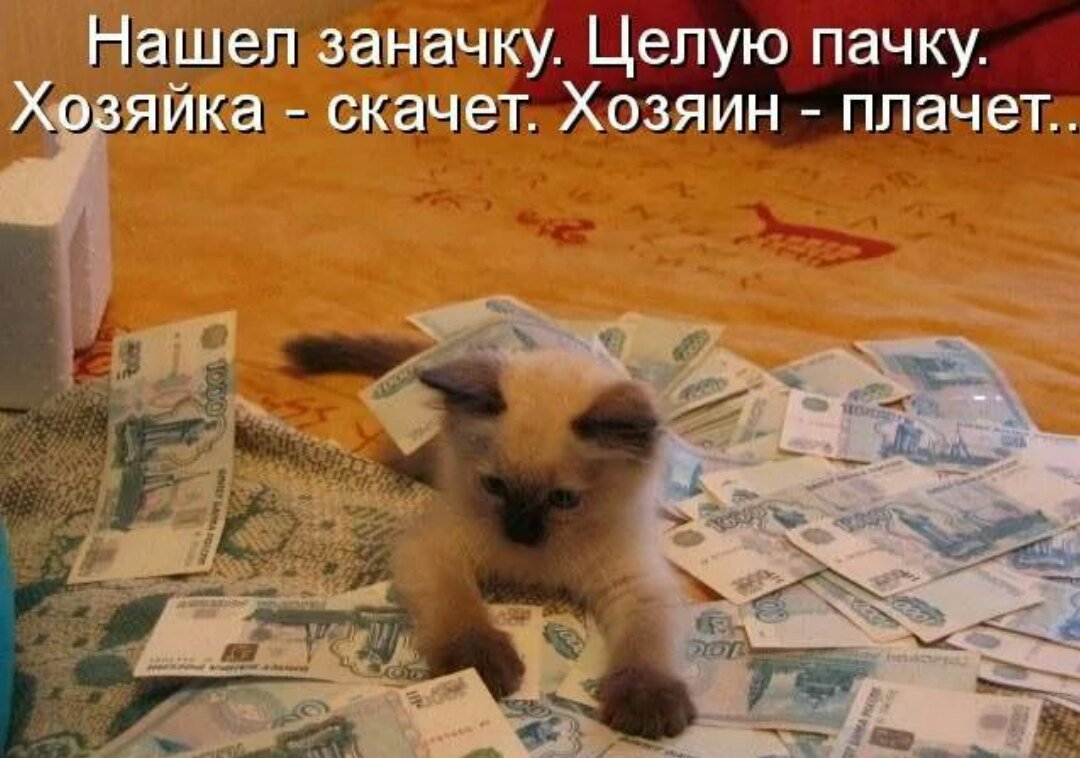 Шутки про заначку