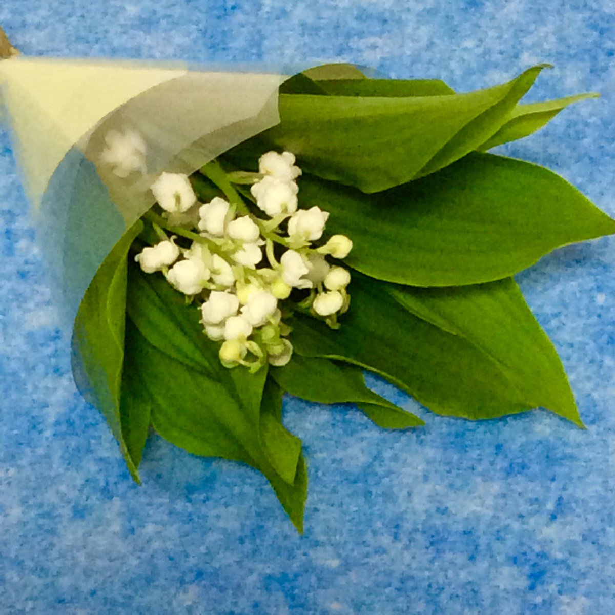 水時計 على تويتر 5月1日はスズランの日 フランスでは Jour De Muguet と言って 家族や友人 親しい人にスズランの花を贈る習慣があります 贈られた人に幸せが訪れるそう 愛らしい花の形と甘い香りがとってもロマンティック スズラン すずらん 花 水時計 على تويتر 5月1日はスズランの日 フランスでは Jour De Muguet と言って 家族や友人 親しい人にスズランの花を贈る習慣があります 贈られた人に幸せが訪れるそう 愛らしい花の形と甘い香りがとってもロマンティック スズラン すずらん 花