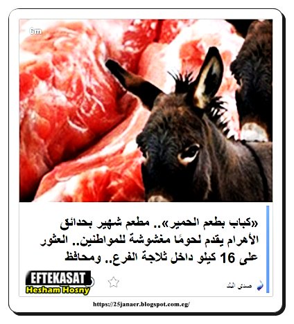 «كباب بطعم الحمير».. مطعم شهير بحدائق الأهرام يقدم لحومًا مغشوشة للمواطنين