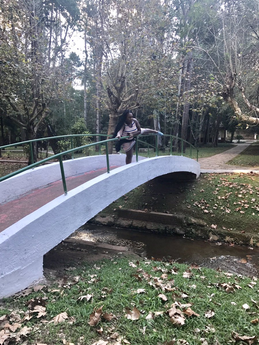 Ver imagem no Twitter