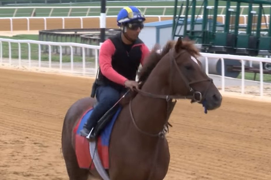 TwinSpires's tweet image. #IrishWarCry breezes at Fair Hill; #McCraken, #FastAndAccurate work @ChurchillDowns
brisnet.com/content/2017/0…