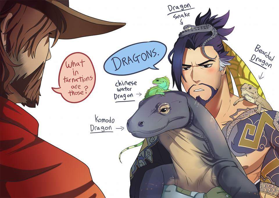 DoragonNoItami's tweet image. "McCree does not approve of my pets." @CallmeMcCree