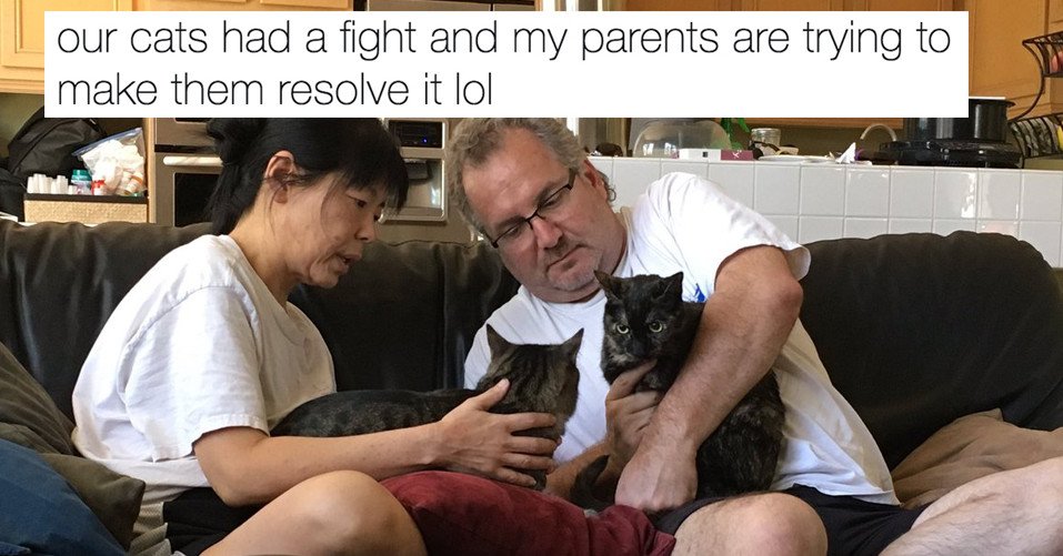 BuzzFeed's tweet photo. 28 tweets that will never ever not be funny https://t.co/EGopczMav8 https://t.co/aMYJQntsSG
