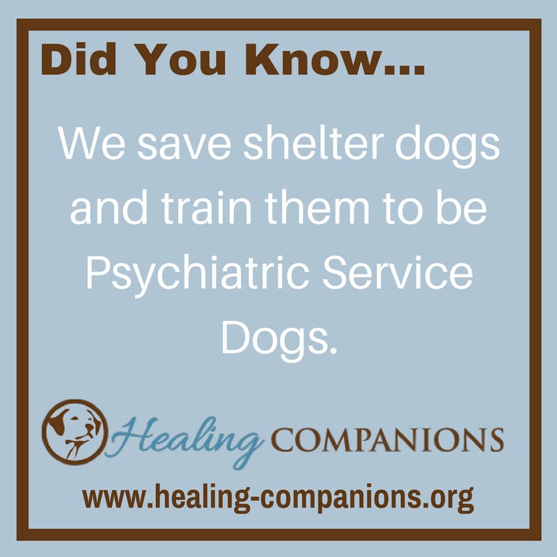 PSDHealingDogs's tweet photo. Today is #NationalTherapyAnimalDay. Healing Companions is committed to the training and placement of #PsychiatricServiceDogs. https://t.co/jeUKnJ1uZf
