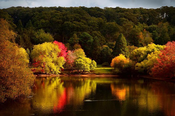 Watch South Australia's leaked NSFW photo on TwXstars