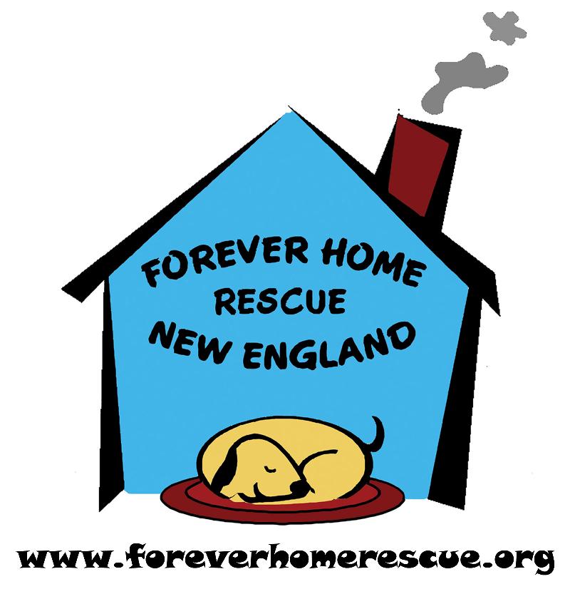 forever homes rescue