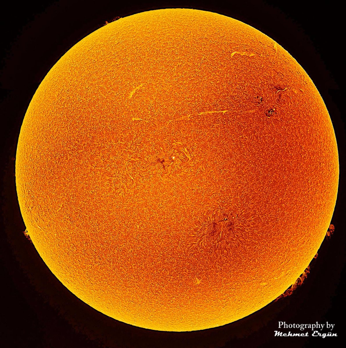 "Güneş" / Fotoğraf: Mehmet Ergün