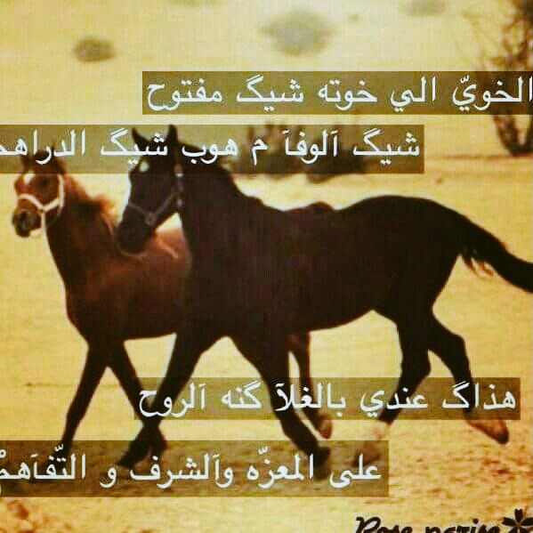 علي ثقيل الحمل … تقـوى عزومي 
 لاشفت نيـات الليآلــي … ( جبانه )

من صدّ مني ؟ جعله آتلـى همومي
 ومن صان قدري فوق راسي مكانه”