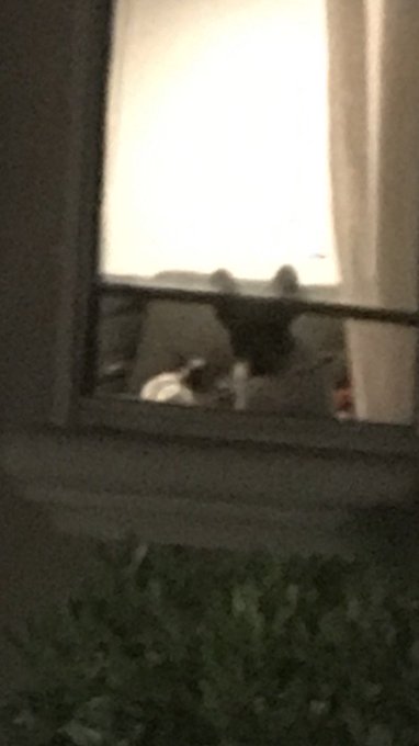 They're watching me. Every damn minute. https://t.co/g5YXgDQw2v<a href="/tag/tgif"class="tags"><span>#tgif</span></a>