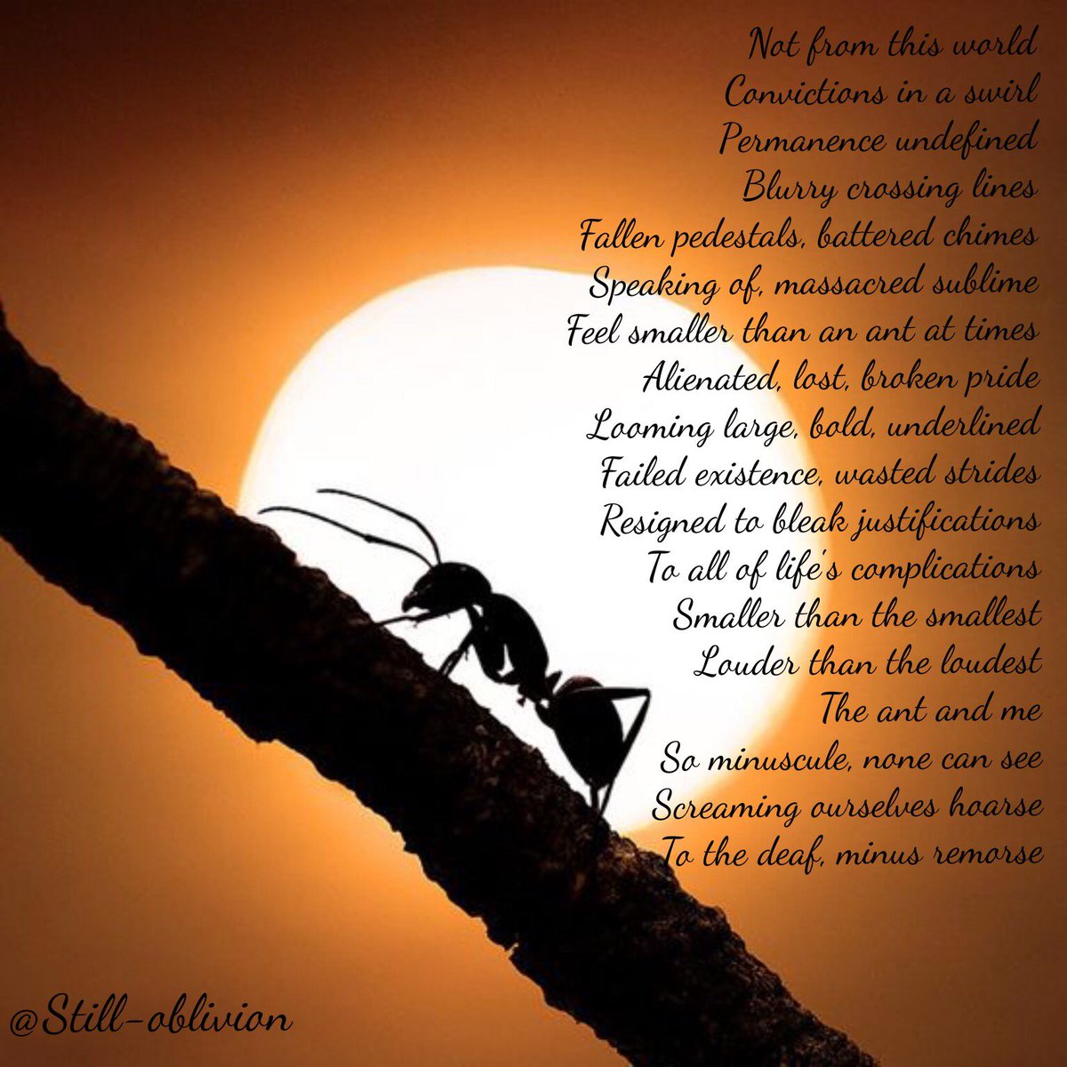 Still_oblivion's tweet image. Smaller than the smallest ~ written for #SenseWrds #promptwords 256 #poem #poetry #amwriting