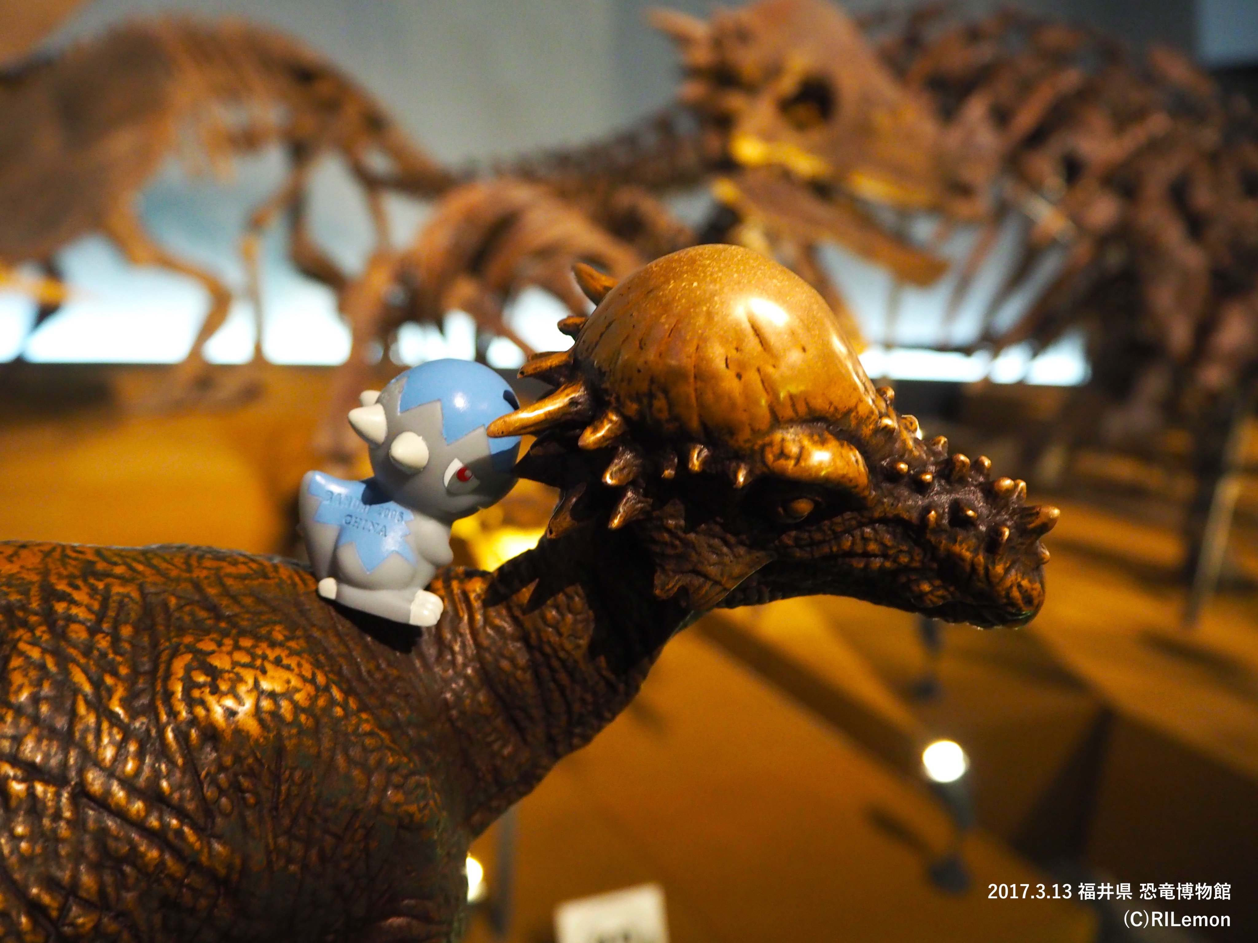 リルえもん 福井県は恐竜博物館にて ズガイドスをモデルである パキケファロサウルス 銅像 Amp 化石と撮影 元の恐竜を上手くデフォルメしながら 頭の丸さを活かして卵が割れて孵ったようなデザインになっているのが分かりますね ポケモンのデザインは