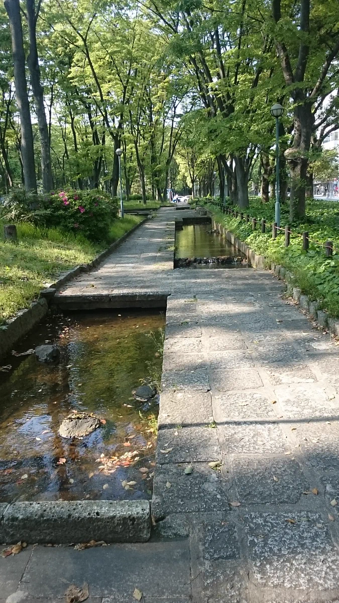 普通に歩くのも難易度高い？歩きスマホ絶対殺す道ｗｗｗ