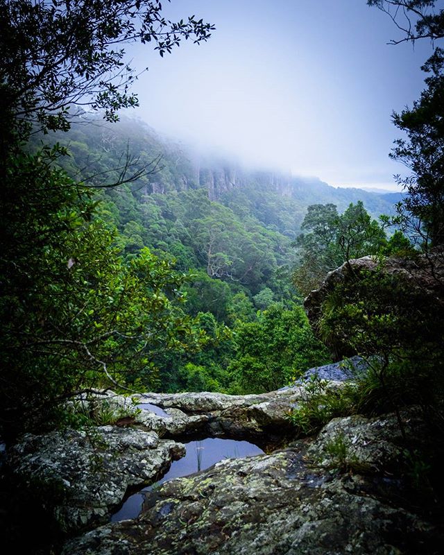 Australia's tweet image. Air so fresh you can taste it on the Twin Falls Circuit in #SpringbrookNationalPark (via IG/framegrabs in @Queensland)