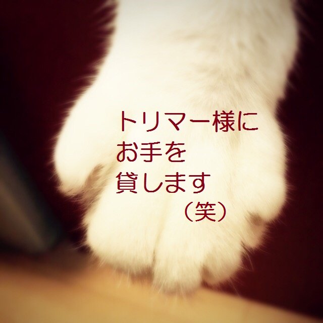 連絡用(๑°꒵°๑)・*♡ The Coolest Love Emoticons for You to Copy & Paste ( ˘ ³˘)♥