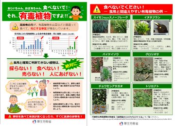 食べてはいけない 食中毒を引き起こす有害植物に厚労省が注意喚起 ねとらぼ