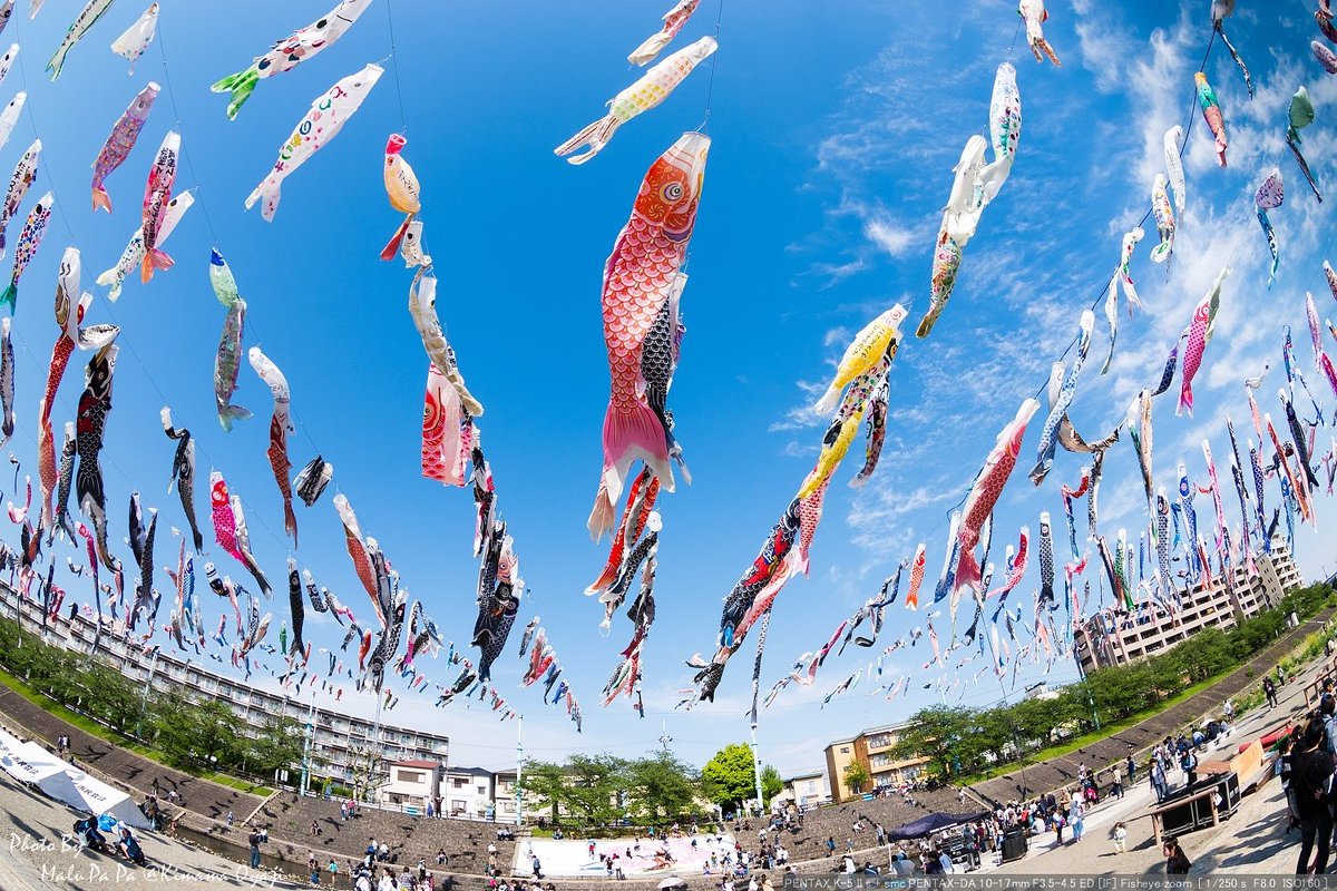 関西で一番すごいと評判の大阪高槻の こいのぼりフェスタ1000 に行ってきたのでレビューするよ Watalog ワタログ
