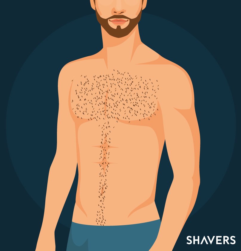 on Twitter: "Learn how to trim chest and stomach to look your best https://t.co/3V6XNUI8Dl #manscaping because a groomed body is the new https://t.co/uHkyaIzdj9" / Twitter