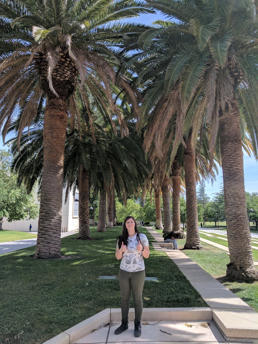 averywinterfox's tweet image. excited to be a matador 💃 #csun2021