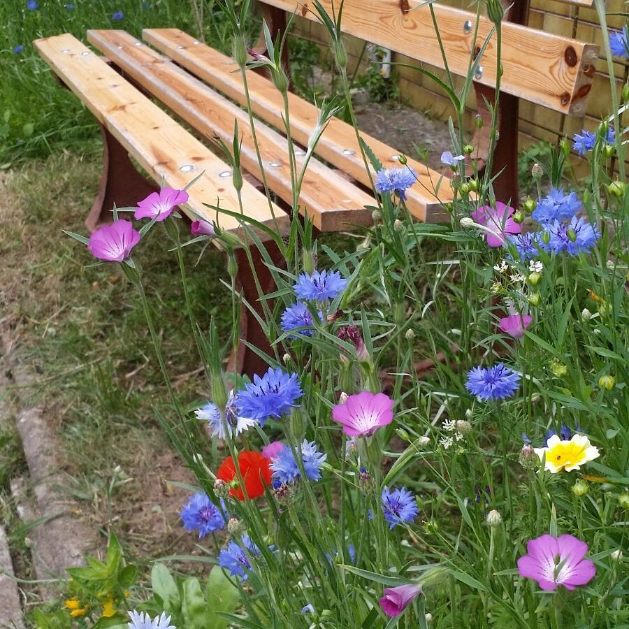 DFZeeland's tweet image. Ben jij de volgende die gaat genieten in ons vakantiehuis? 
#reservering #vakantie #duitsland #Odenbach