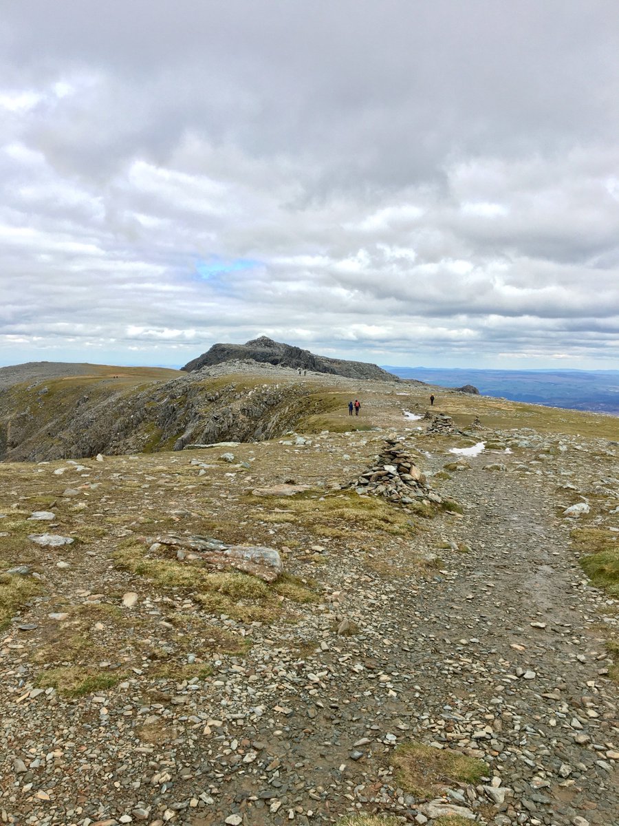 Adrian Badland tweet media