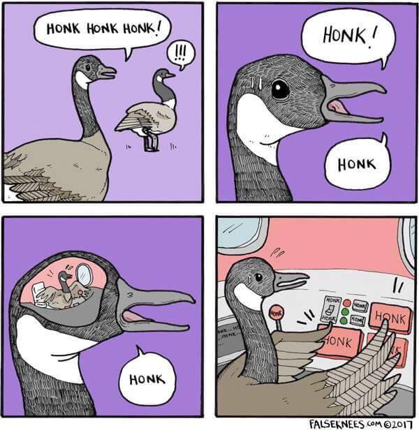 C-vFvfKXUAAU1dU.jpg