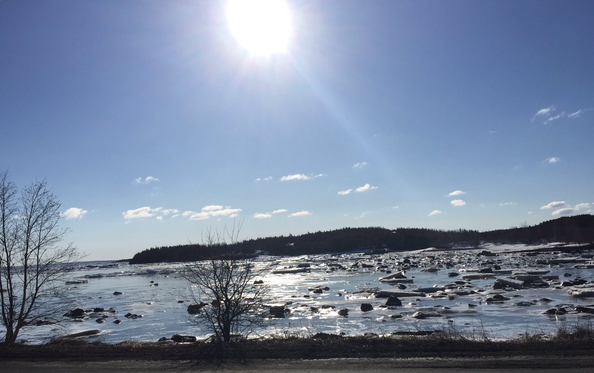 vocmvocm's tweet image. Happy Monday! #embree