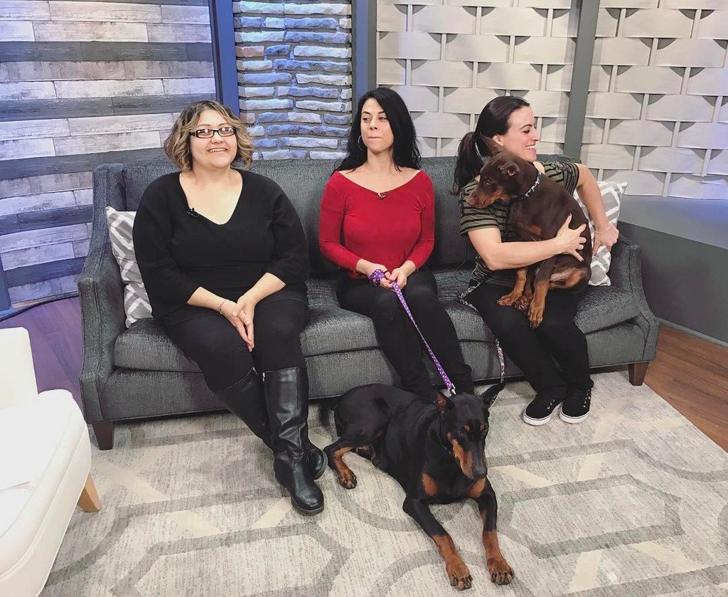 Woof-a-Palooza is happening June 11. Let us know if you'd like to win a gift basket courtesy of Crumps Naturals. ift.tt/2qvYLue