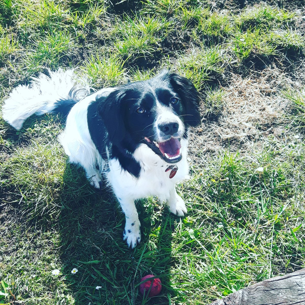 BobbySuperCute's tweet photo. Someone is enjoying the sunny bank holiday 😍😉 https://t.co/lcM8CTpllm