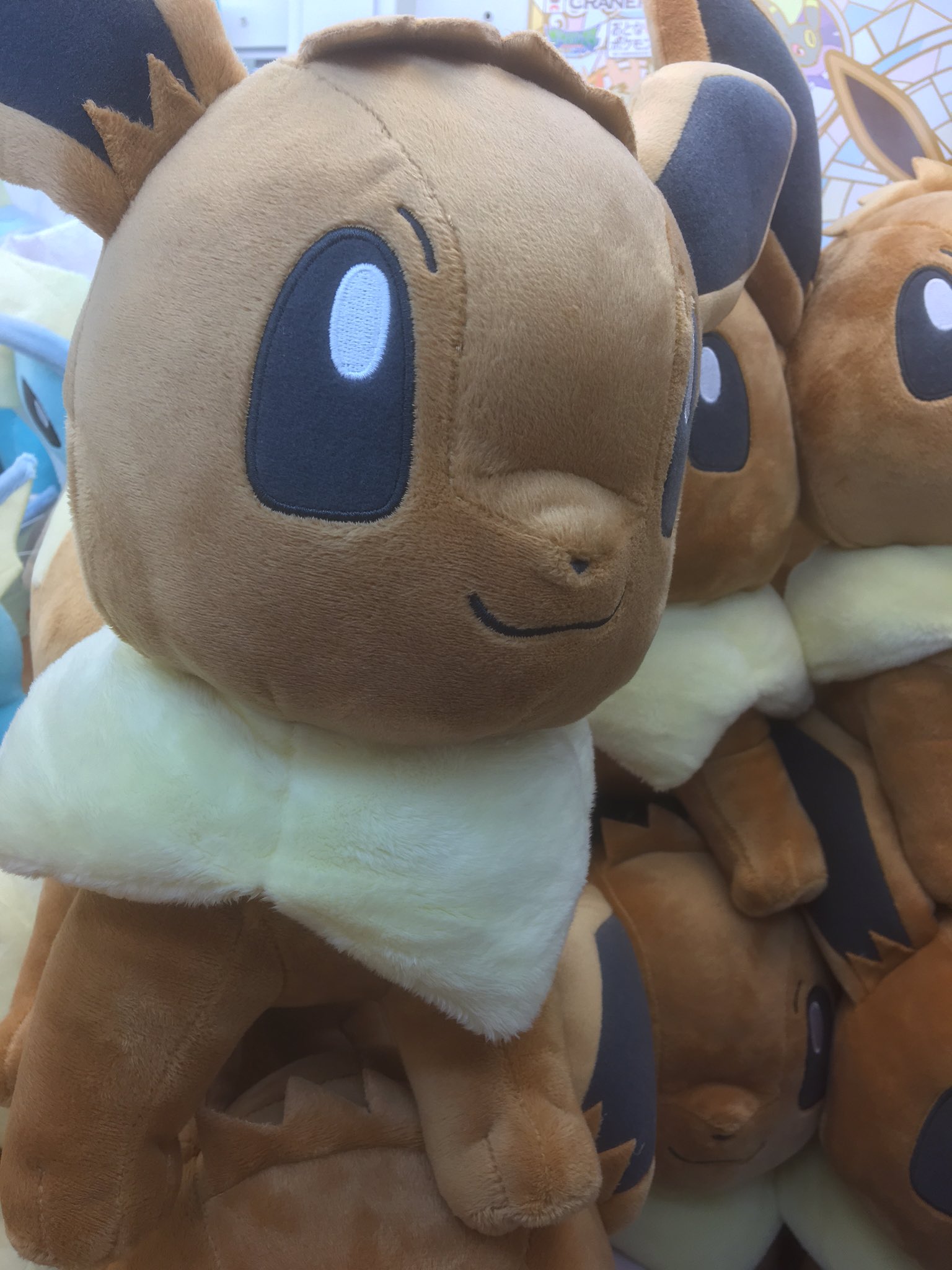 アドアーズサンシャイン店 Auf Twitter でっかいイーブイぬいぐるみ大人気登場中です 少し小さいシャワーズ ブースターも絶賛登場中です ポケモン イーブイ T Co My09ngrwfx Twitter