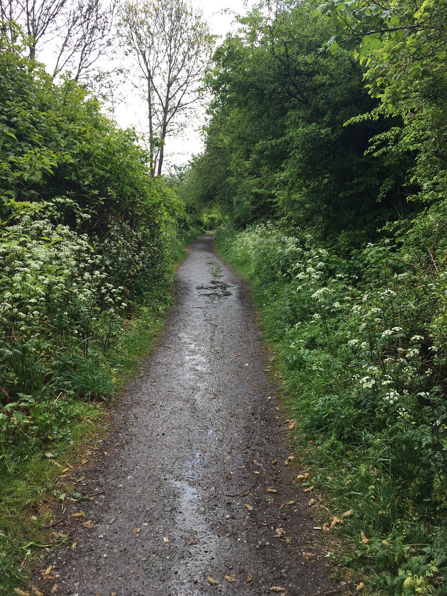Out supervising dofe groups on their final leg
