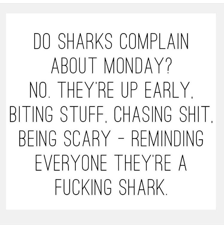 OneMicKC's tweet image. Be a shark this week! Take a bite out of the project you've been working on! Attack this week like you're trying to impress! #BeAShark