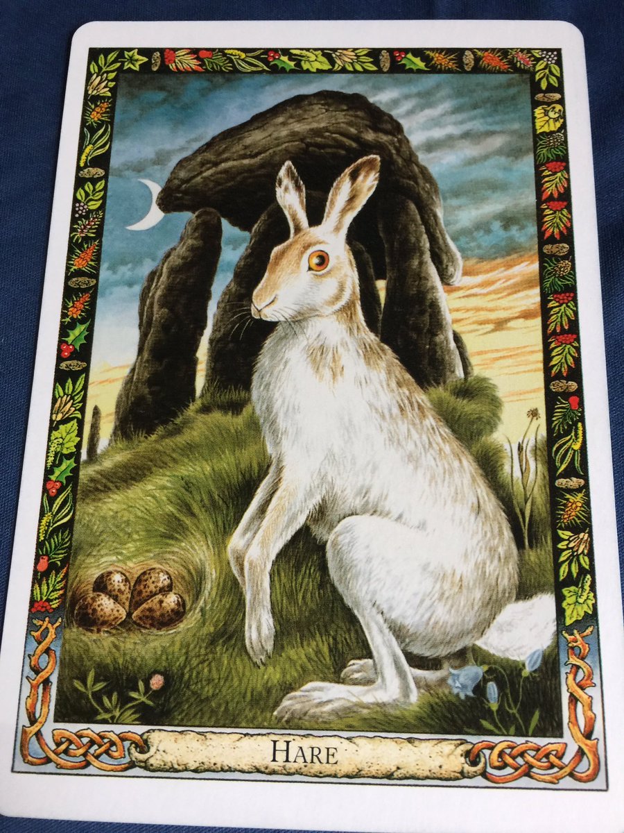 GhostQueenPara's tweet image. #DruidAnimalOracle Rebirth, Intuition, Balance