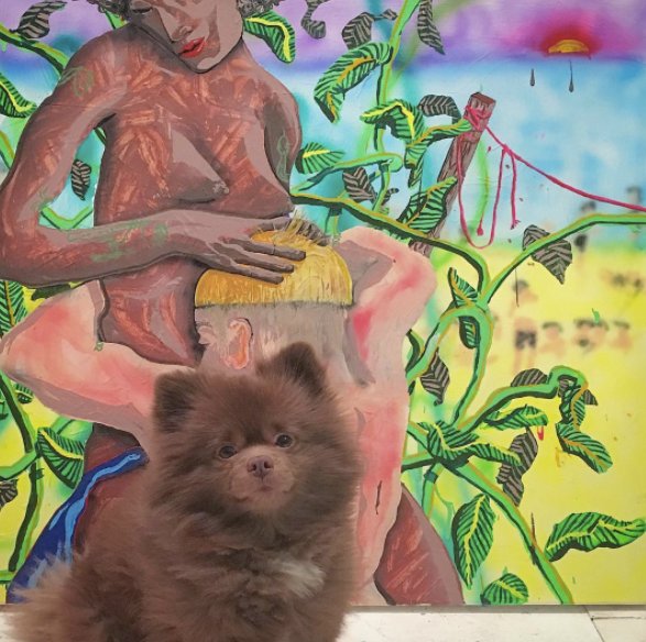 Helpfindmax's tweet photo. Dog Who Was Dumped By A Breeder Works At An Art Gallery Now https://t.co/39TJXhITbM by #irishfox1949 via @c0nvey https://t.co/MOEDcVyVv2