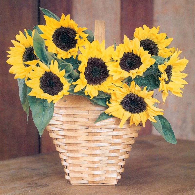 Peterboro Basket Co. (PeterboroBasket) Twitter