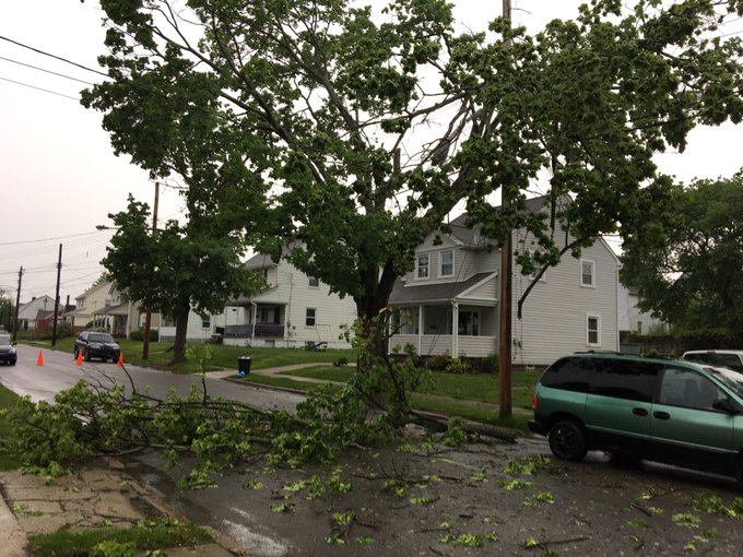 View image on Twitter