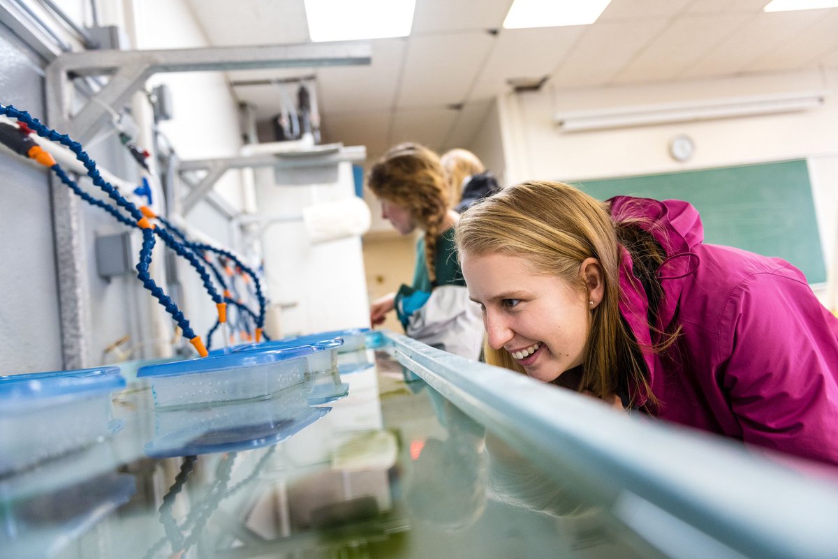 CelebrateLearn's tweet image. Attn #UBC Faculty 
Explore Teaching Tools + Learning Technology Support w/ #TechRovers 
May 4 1:00pm @ikblc_ubc ow.ly/qlIn30bcCIe